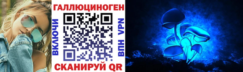 купить  сайты  Глазов  Галлюциногенные грибы GOLDEN TEACHER 