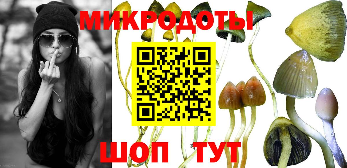 Глазов  Псилоцибиновые грибы прущие грибы  Вход с VPN  Псилоцибиновые грибы GOLDEN TEACHER 